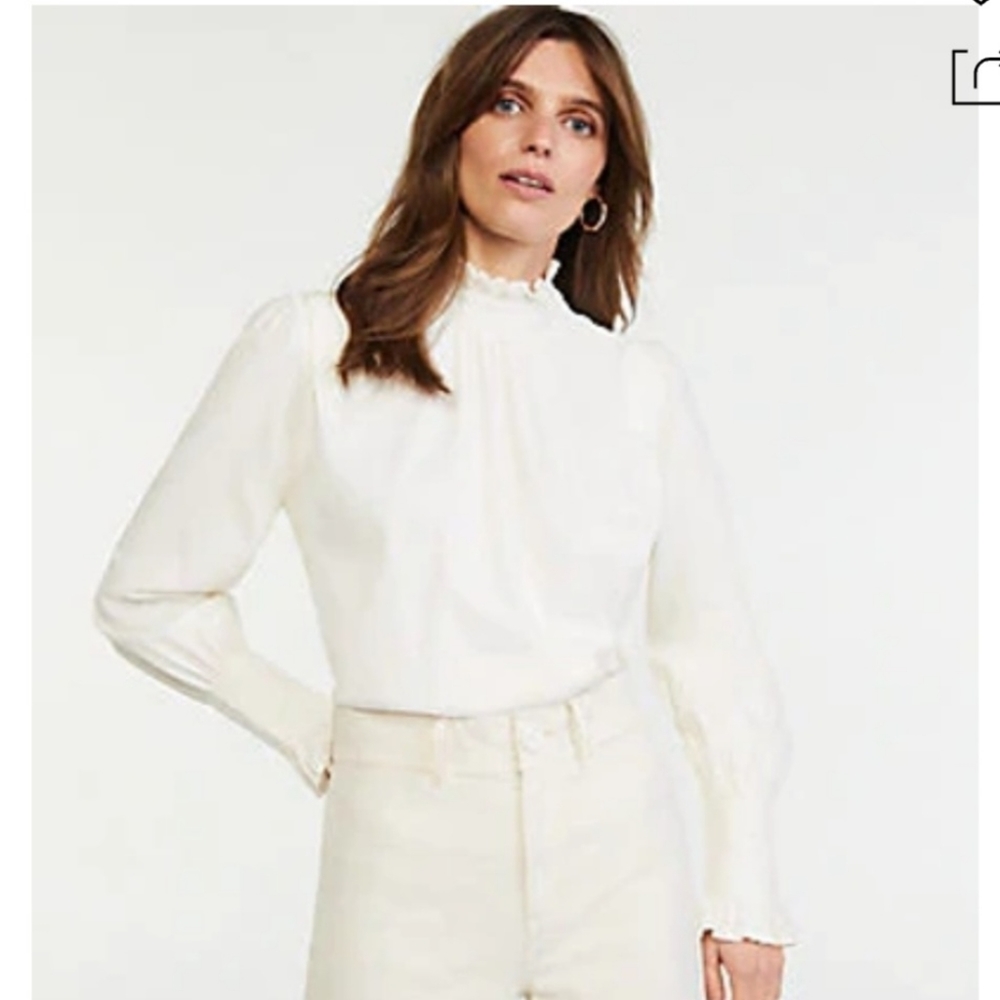 Classy Blouse- Ann Taylor mock turtleneck